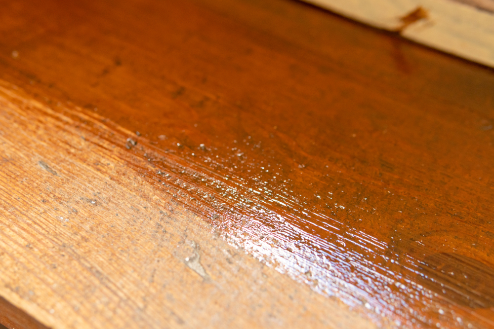 The New Neutrals: Trending Hardwood Stain Colors for Modern Homes